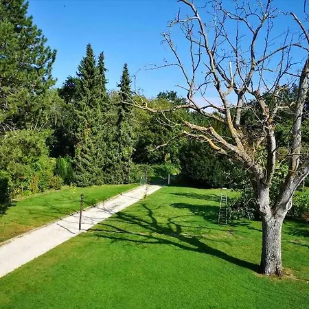 Ueber Den Daechern Von - Aussichts-wohnung Naturpark Rheinblick, Ruhig, Zentrumsnah, Sport-pool *