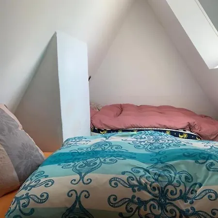 Appartement Ueber Den Daechern Von - Aussichts-wohnung Naturpark Rheinblick, Ruhig, Zentrumsnah, Sport-pool Coblence