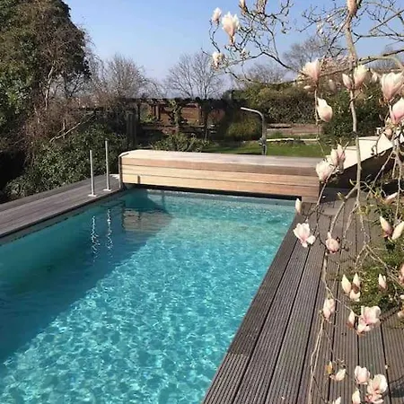 Ueber Den Daechern Von - Aussichts-wohnung Naturpark Rheinblick, Ruhig, Zentrumsnah, Sport-pool Appartement