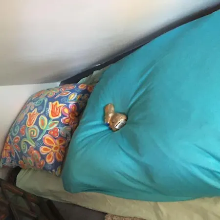 Ueber Den Daechern Von - Aussichts-wohnung Naturpark Rheinblick, Ruhig, Zentrumsnah, Sport-pool Appartement Coblence