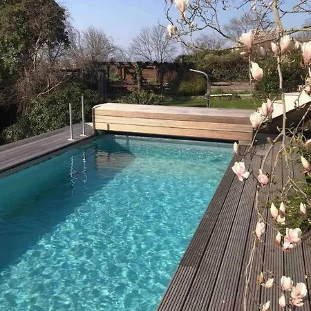 Ueber Den Daechern Von - Aussichts-wohnung Naturpark Rheinblick, Ruhig, Zentrumsnah, Sport-pool Apartment *
