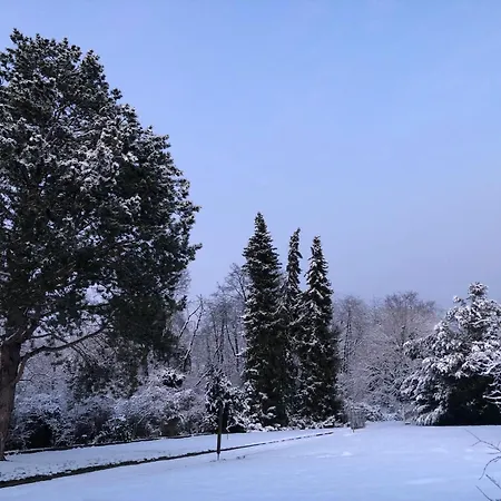 Ueber Den Daechern Von - Aussichts-wohnung Naturpark Rheinblick, Ruhig, Zentrumsnah, Sport-pool * Κόμπλεντς