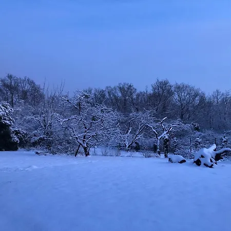 Appartement Ueber Den Daechern Von - Aussichts-wohnung Naturpark Rheinblick, Ruhig, Zentrumsnah, Sport-pool