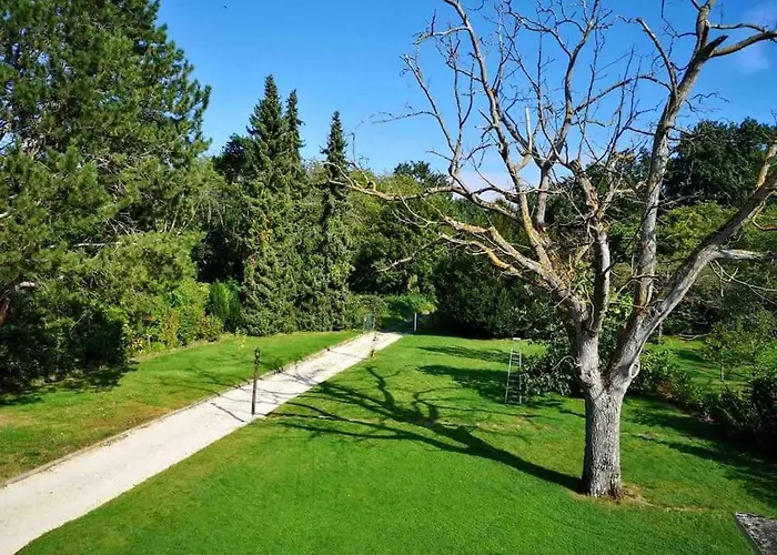 Ueber Den Daechern Von - Aussichts-wohnung Naturpark Rheinblick, Ruhig, Zentrumsnah, Sport-pool *