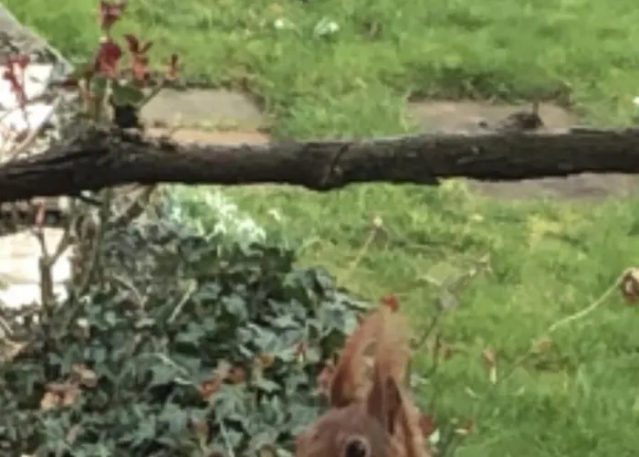Ueber Den Daechern Von - Aussichts-wohnung Naturpark Rheinblick, Ruhig, Zentrumsnah, Sport-pool Apartman *