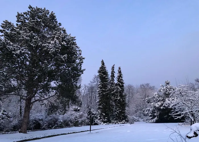 Ueber Den Daechern Von - Aussichts-wohnung Naturpark Rheinblick, Ruhig, Zentrumsnah, Sport-pool * Koblenz