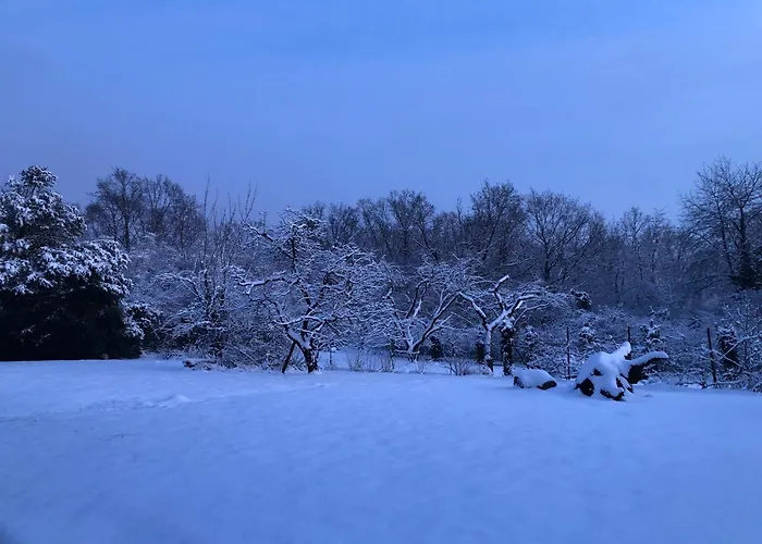 Apartman Ueber Den Daechern Von - Aussichts-wohnung Naturpark Rheinblick, Ruhig, Zentrumsnah, Sport-pool